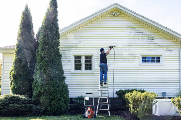 Best Roof Washing  in Halesite, NY